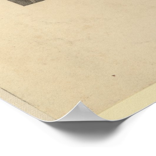 THOMAS JEFFERSON 3rd U.S. President Lithograaf Poster (Hoek)