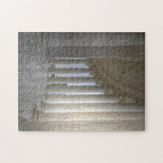 Thomas Jefferson Memorial Circular Colonnade Legpuzzel (Horizontaal)