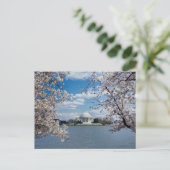 Thomas Jefferson Memorial met Cherry Blossom Briefkaart (Staand voorkant)