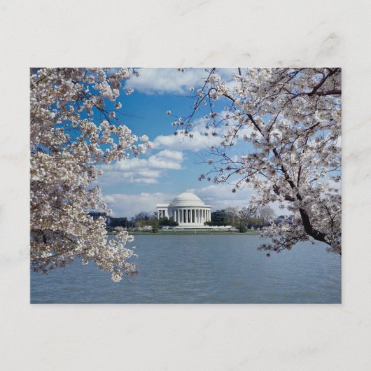 Thomas Jefferson Memorial met Cherry Blossom Briefkaart (Voorkant)