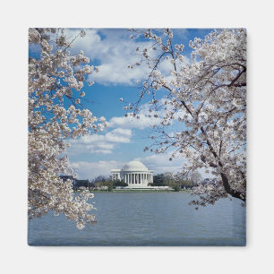 Thomas Jefferson Memorial met Cherry Blossom Magneet