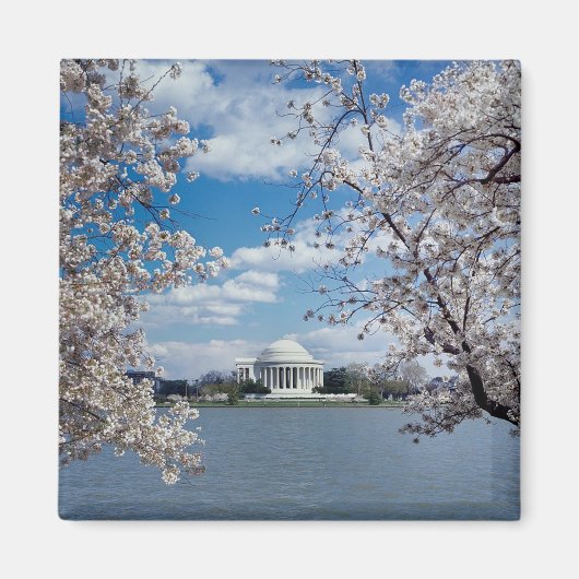 Thomas Jefferson Memorial met Cherry Blossom Magneet (Voorkant)