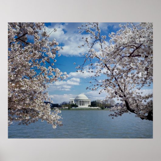 Thomas Jefferson Memorial met Cherry Blossom Poster (Voorkant)