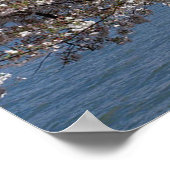 Thomas Jefferson Memorial met Cherry Blossom Poster (Hoek)