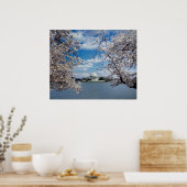 Thomas Jefferson Memorial met Cherry Blossom Poster (Keuken)