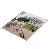 Thomas Jefferson Memorial met kersenbloesem Tegeltje (Zijkant)