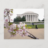Thomas Jefferson Memorial met kersenbloesems Briefkaart (Voorkant)