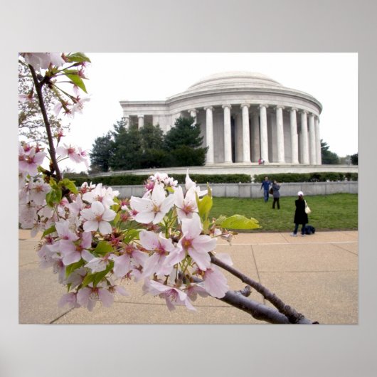 Thomas Jefferson Memorial met kersenbloesems Poster (Voorkant)
