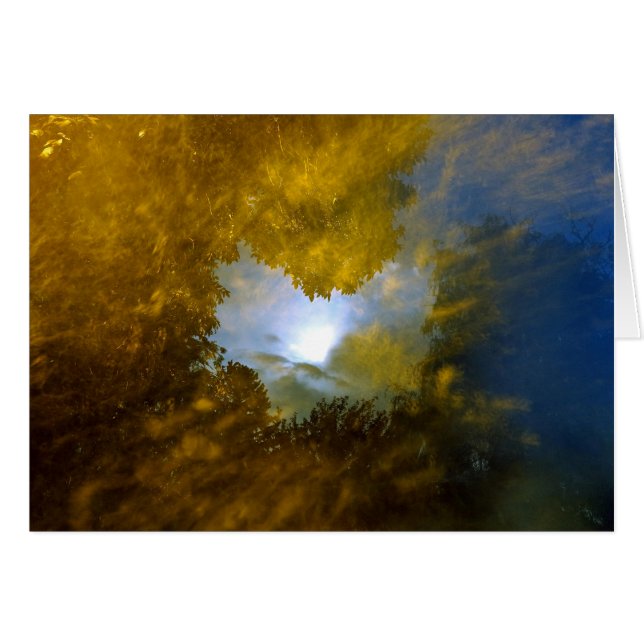 "thomas moran closed-eye vision" (Voorkant Horizontaal)