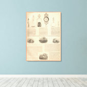 Thomas S Morton, fabrikant Morris Canvas Afdruk (Insitu (Houten vloer))