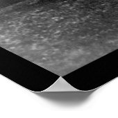 Thomas Sopwith's Scout Biplane 1919 Poster (Hoek)