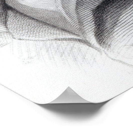 Thomas Telford, 1831 Poster (Hoek)