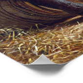 Thomas Waterman Wood New Cider Poster (Hoek)