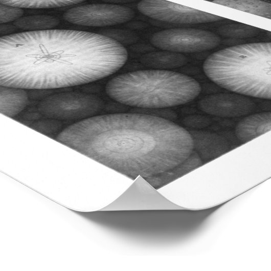 Thomas Wright's universum Poster (Hoek)