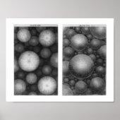 Thomas Wright's universum Poster (Voorkant)