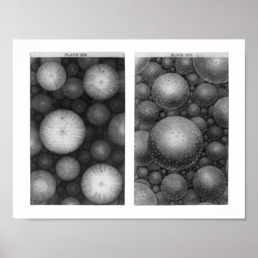 Thomas Wright's universum Poster (Voorkant)