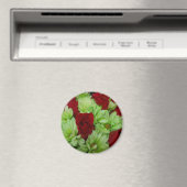 Thomasse Magneet (Insitu (Vaatwasser))