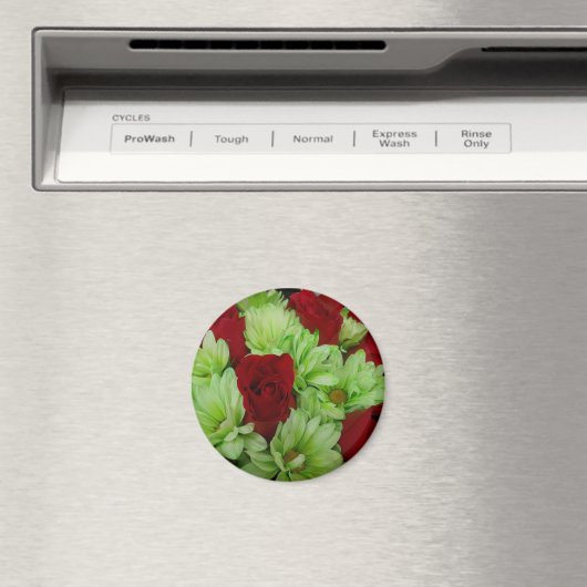 Thomasse Magneet (Insitu (Vaatwasser))