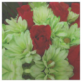 Thomasse Stof (Close Up)