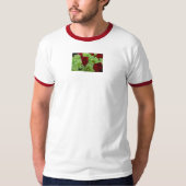 Thomasse T-shirt (Voorkant)