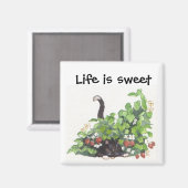 Thome in de aardbeien magneet (Voorkant / Achterkant)