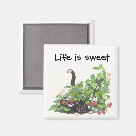 Thome in de aardbeien magneet (Voorkant / Achterkant)