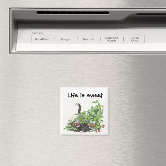 Thome in de aardbeien magneet (Insitu (Vaatwasser))