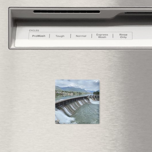 Thompson Herfsten Dam Magneet (Insitu (Vaatwasser))