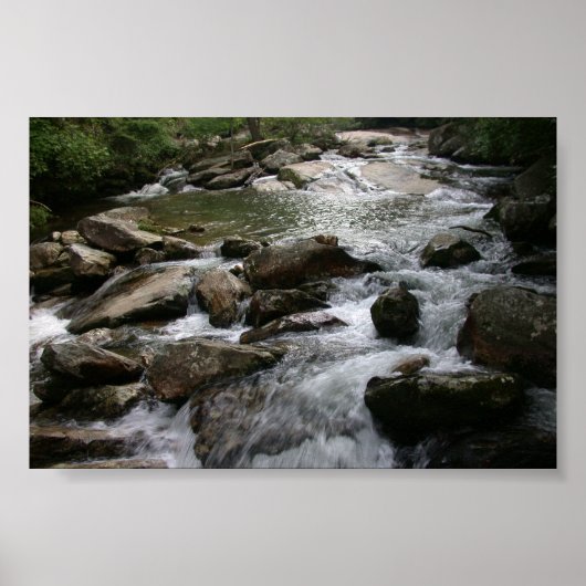 Thompson River Poster (Voorkant)