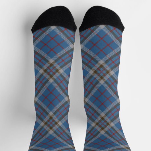 Thompson Tartan Plaid Grey Blue Pattern Sokken (Top)
