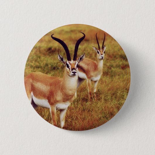Thompsons Gazelle safari-knoppen en badges Ronde Button 5,7 Cm (Voorkant)