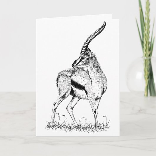 Thompson's Gazelle studie Birthday Card Kaart (Voorkant)