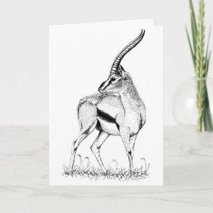 Thompson's Gazelle studie Birthday Card Kaart