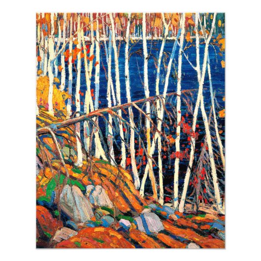 Thomson - In het Noorden, mooi kunstschilderij Foto Afdruk (Voorkant)