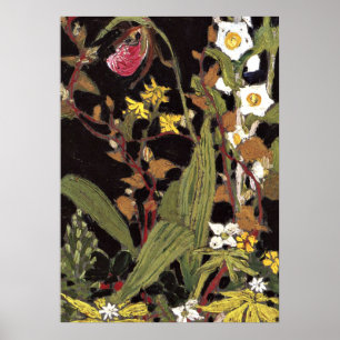 Thomson - Orchideeën, Algonquin Park Poster