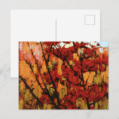 Thomson - Soft Maple in het najaar Briefkaart (Voorkant / Achterkant)