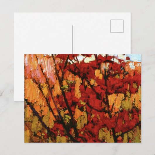 Thomson - Soft Maple in het najaar Briefkaart (Voorkant / Achterkant)