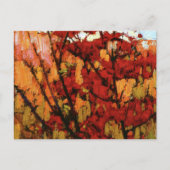 Thomson - Soft Maple in het najaar Briefkaart (Voorkant)