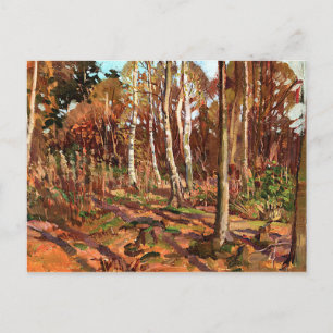 Thomson - Uitzicht van Algonquin Park Briefkaart