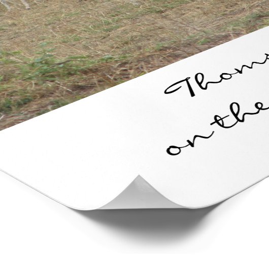 Thomson's Gazelle op de Serengeti, Ta... Poster (Hoek)