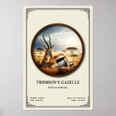 Thomson's Gazelle Zoölogie Serie Poster (Voorkant)