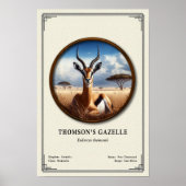 Thomson's Gazelle Zoology Series Poster (Voorkant)