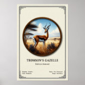 Thomson's Gazelle Zoology Series Poster (Voorkant)