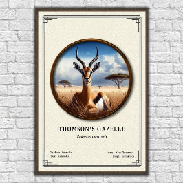 Thomson's Gazelle Zoology Series Poster