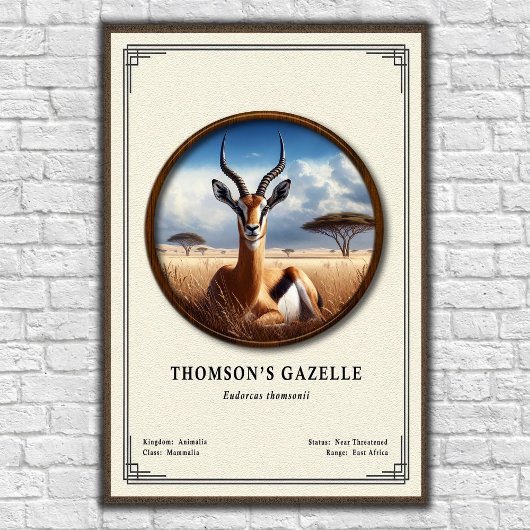 Thomson's Gazelle Zoology Series Poster