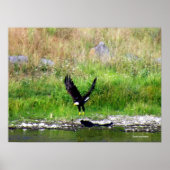 Thoping Eagle Poster (Voorkant)