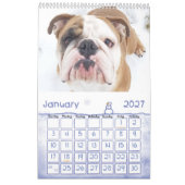 Thor de Bulldog 2019-agenda Kalender (Jan 2027)