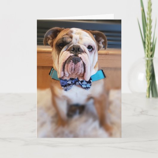 Thor de Bulldog Vrolijke Kerst Kaart (Voorkant)
