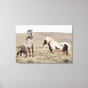 Thor en Booker Roos Canvas Afdruk