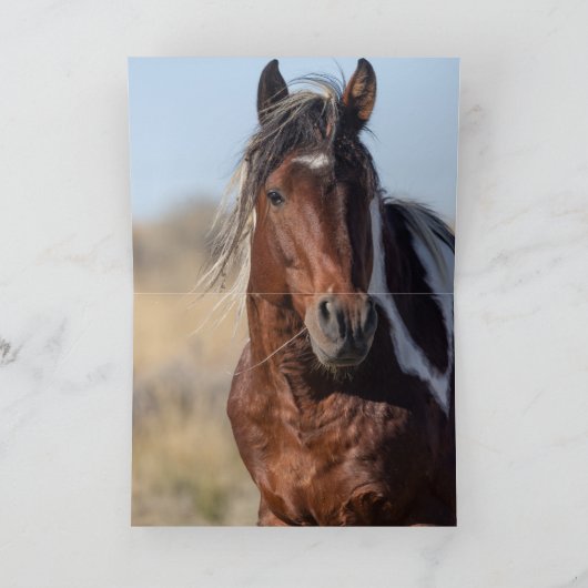 Thor en Tahlequah Wild Horse Wenskaart Bedankkaart (Binnen)